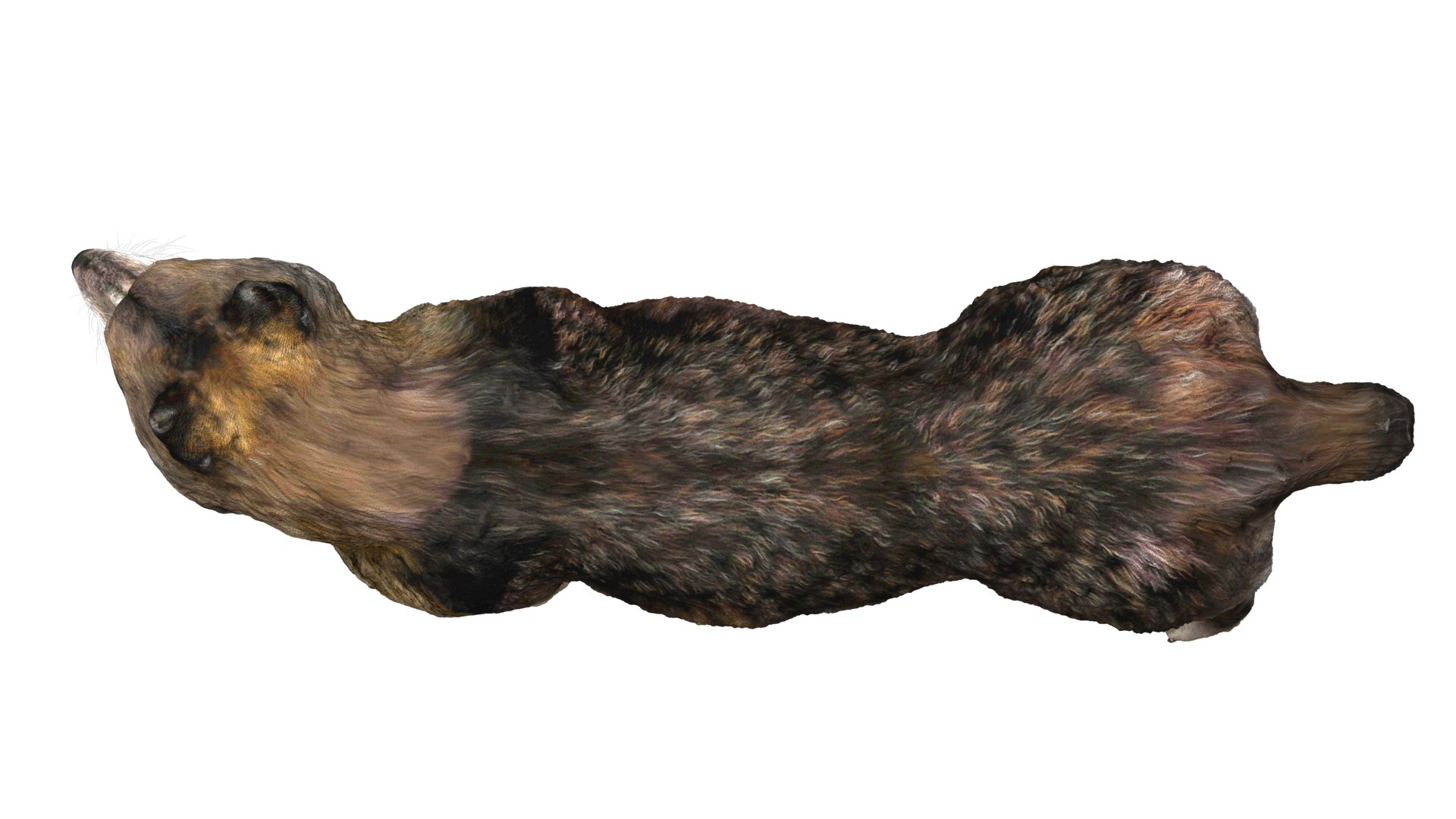 wolf beast 3D https://p.turbosquid.com/ts-thumb/CG/dd998h/CtEMjS4l/10/jpg/1572242988/1920x1080/fit_q87/b5106f63baa19973c6c003abb49c526cdb6724f6/10.jpg