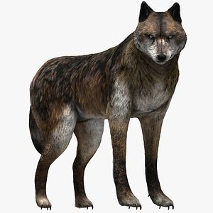 Wolf NoFur