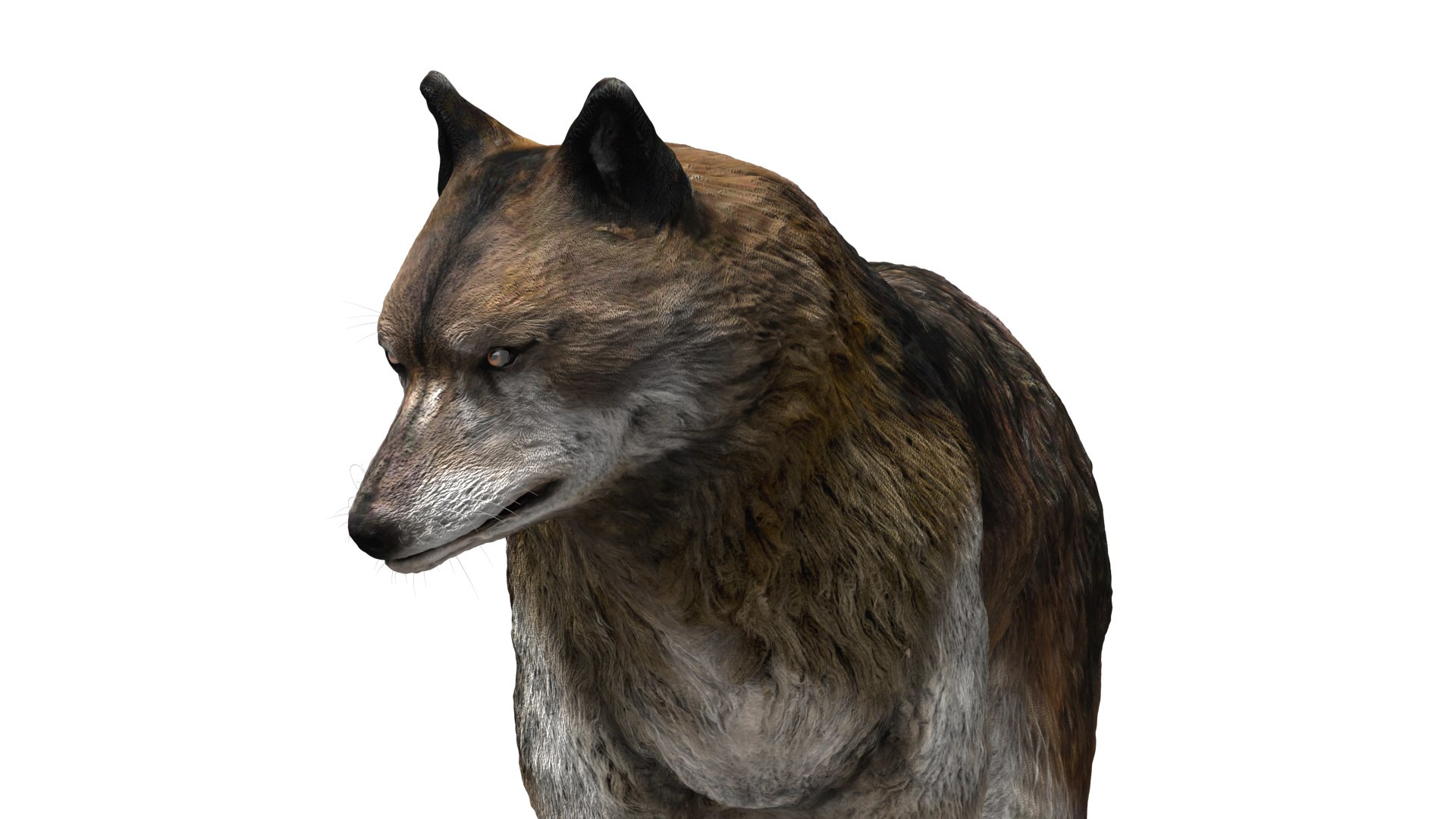 wolf beast 3D https://p.turbosquid.com/ts-thumb/CG/dd998h/V1knmWcY/05/jpg/1572242987/1920x1080/fit_q87/57c084afe296bbd49944818ba96d48e50e2baaa3/05.jpg