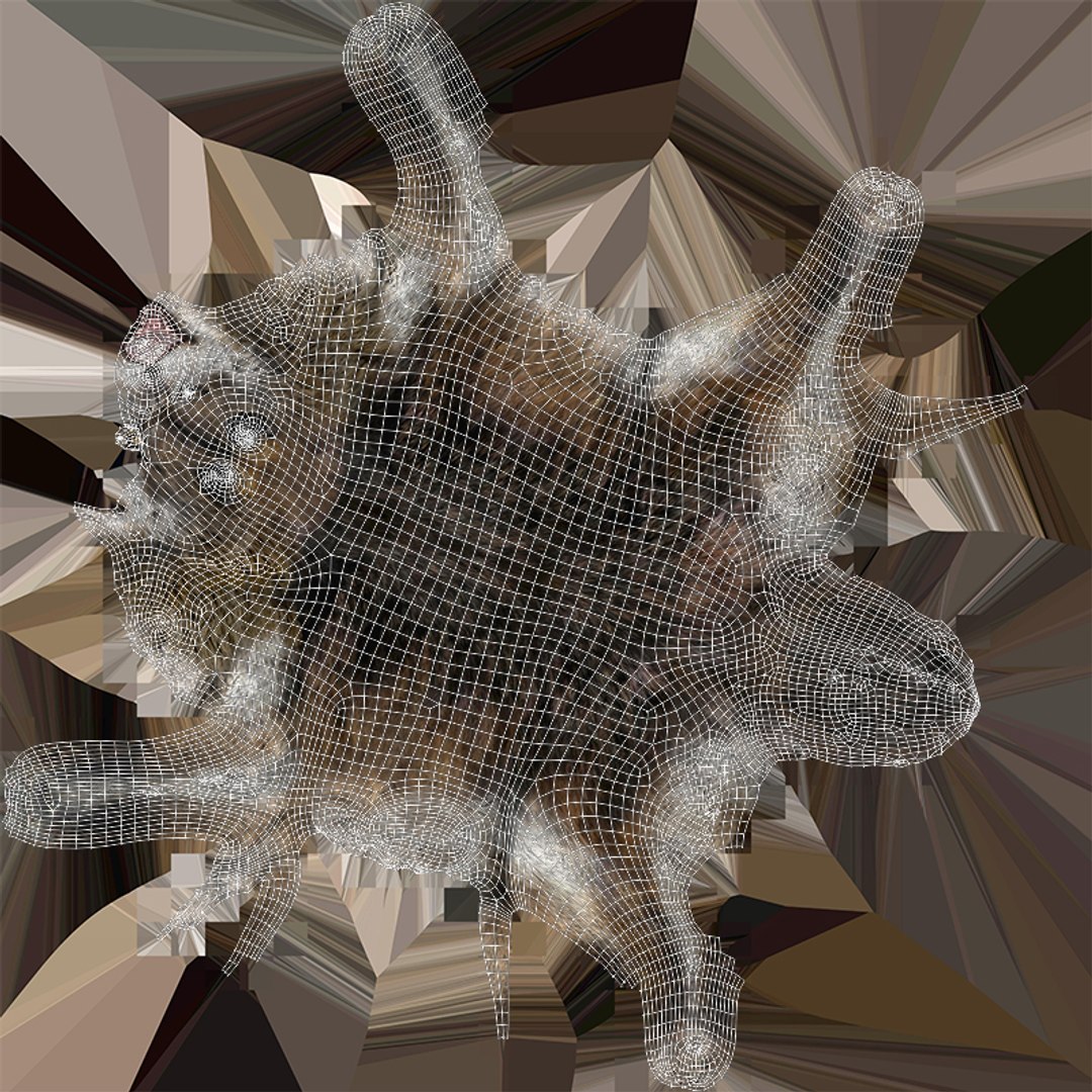 wolf beast 3D https://p.turbosquid.com/ts-thumb/CG/dd998h/XPCipojA/90/jpg/1572242988/1920x1080/fit_q87/96b62ebe5f1c44c9b7d4d2629c1b84344faf1b2f/90.jpg