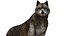 Wolf NoFur