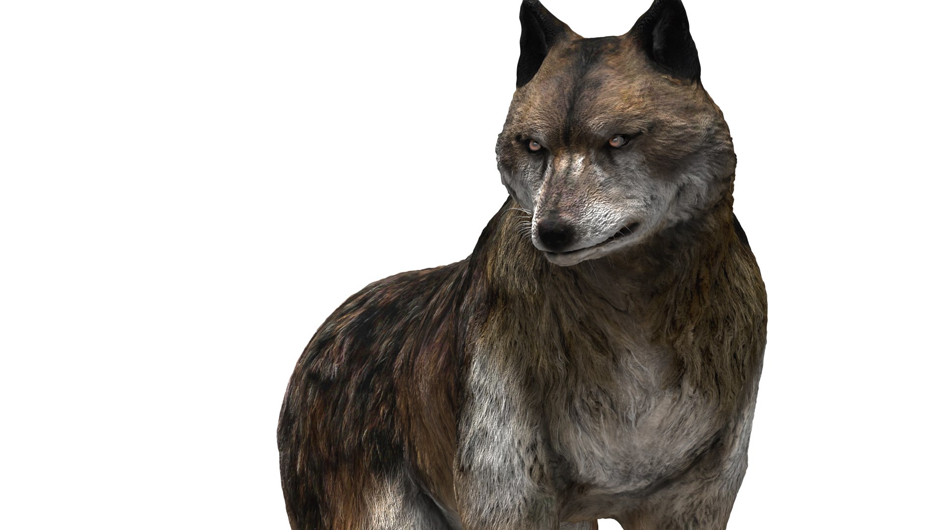 wolf beast 3D https://p.turbosquid.com/ts-thumb/CG/dd998h/lrhLyqOZ/08/jpg/1572242987/1920x1080/fit_q87/3952756eaa8addeaec4b55ac7a15d8cf821b0c52/08.jpg