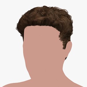 3D hairstyle 28 hair model