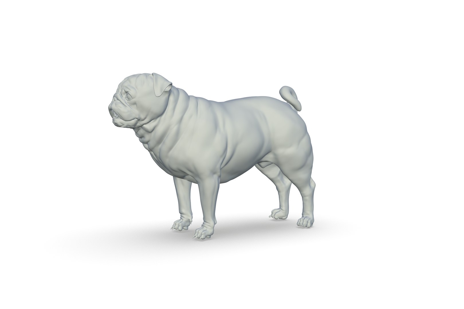 Pug Model - TurboSquid 2217281