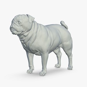 Pug model