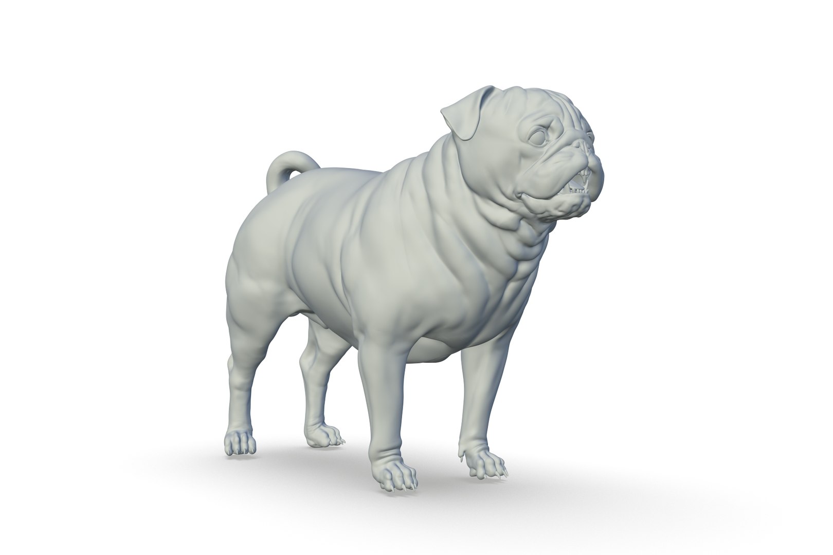 Pug Model - TurboSquid 2217281