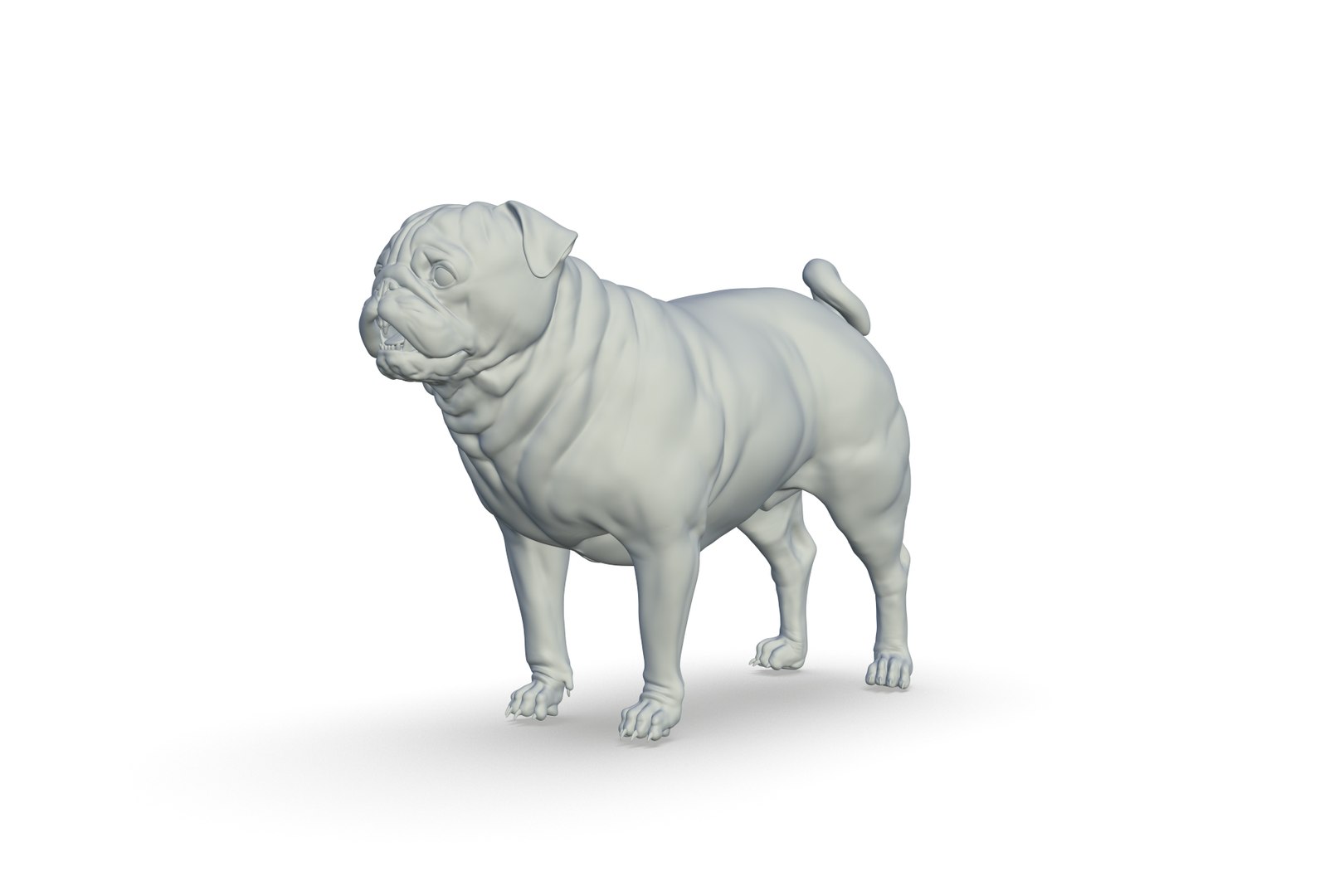 Pug Model - TurboSquid 2217281