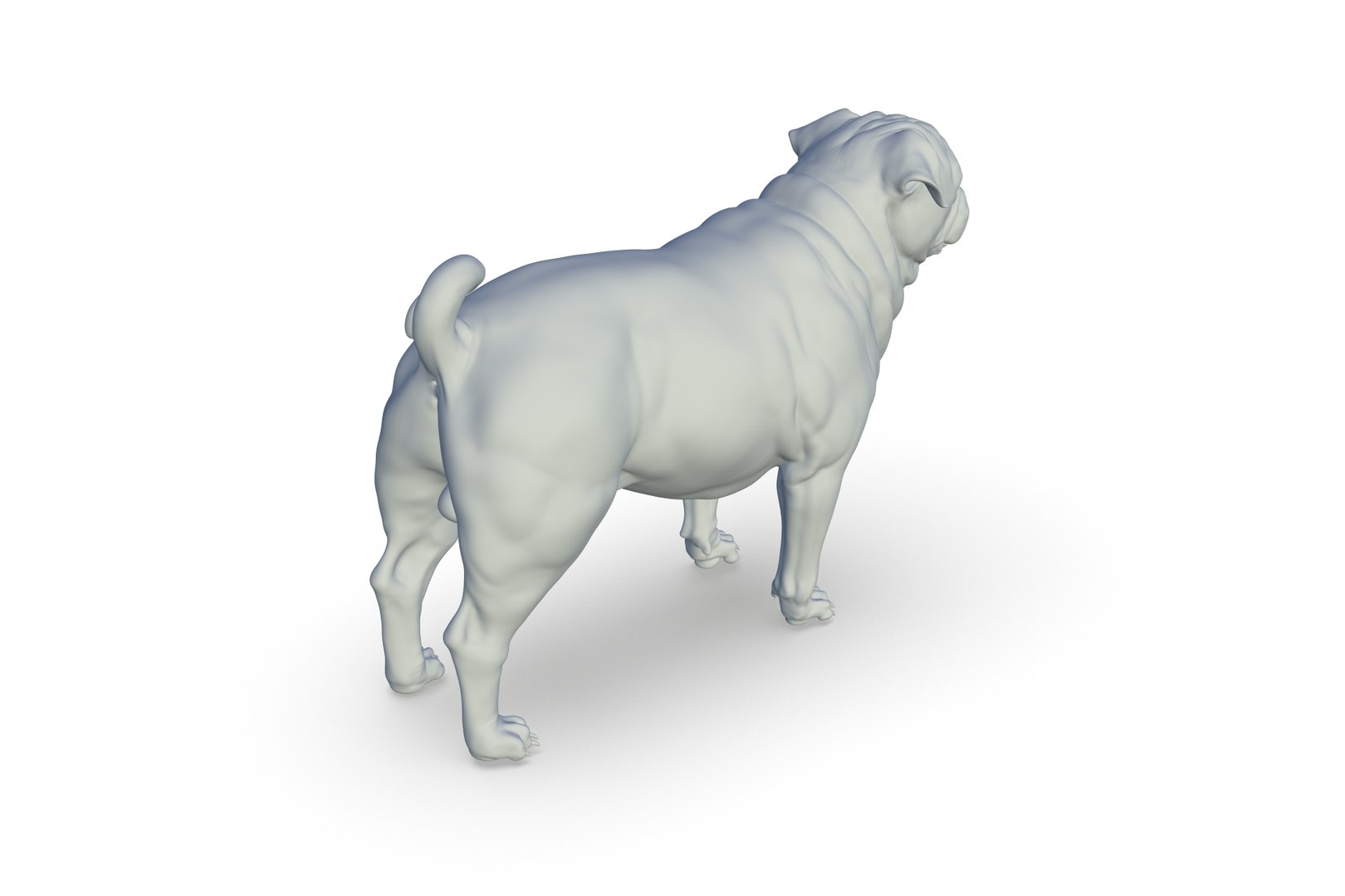 Pug Model - TurboSquid 2217281
