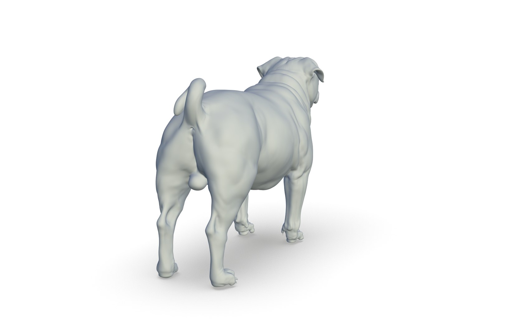 Pug Model - TurboSquid 2217281