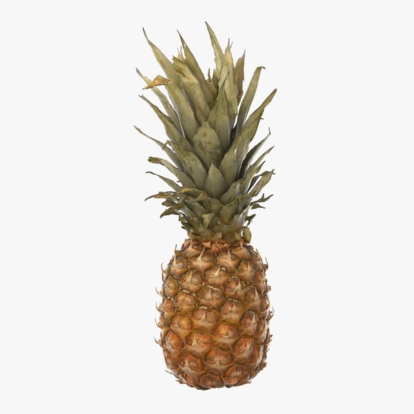 Pineapple 3D Models for Download | TurboSquid