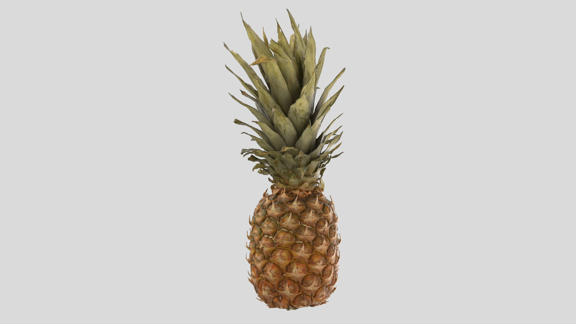 Pineapple Pine Apple 3d Model - Turbosquid 1666756