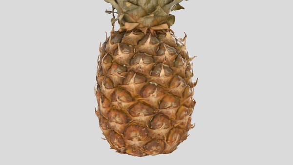 modelo 3d Piña - TurboSquid 1666756
