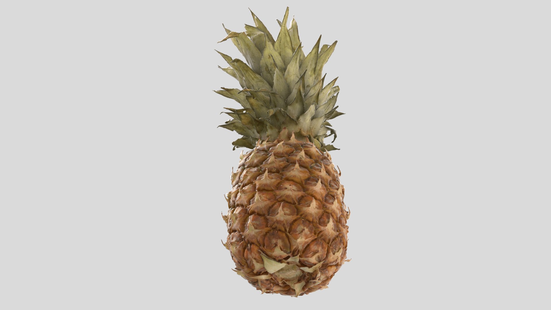 Pineapple pine apple 3D model - TurboSquid 1666756