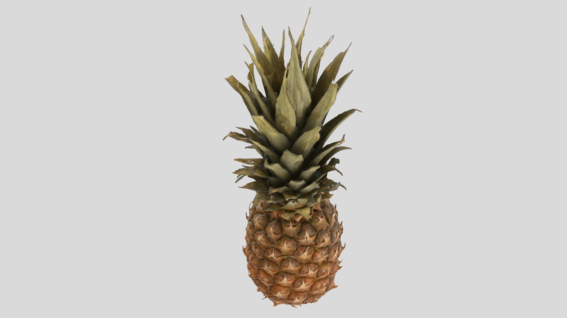 Pineapple pine apple 3D model - TurboSquid 1666756