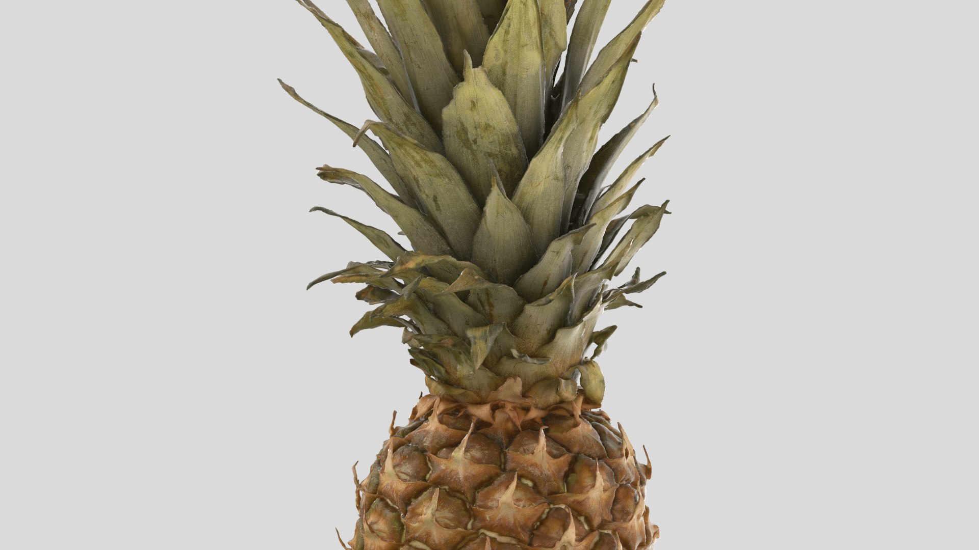 Pineapple pine apple 3D model - TurboSquid 1666756