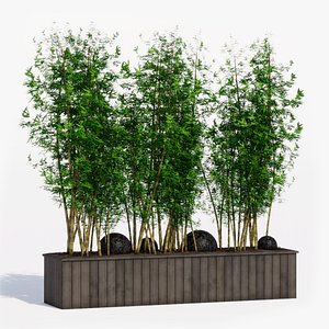 3D Bamboo Pot