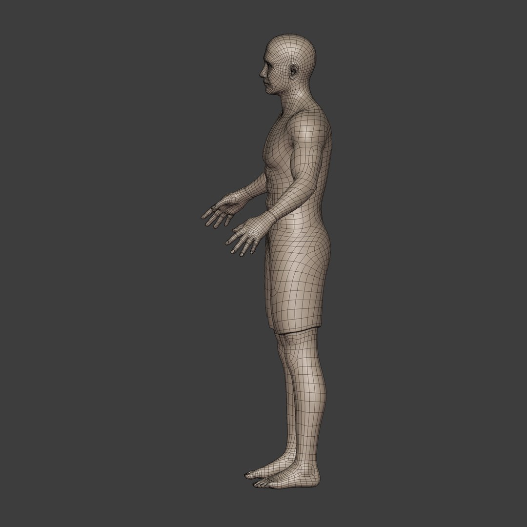 3D Athlete https://p.turbosquid.com/ts-thumb/CH/GvNZoK/WU/i8/jpg/1736888488/1920x1080/fit_q87/d910132b7ce2b0a770182784a54d0314903c38eb/i8.jpg