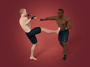 MMA Fighter - Athlete