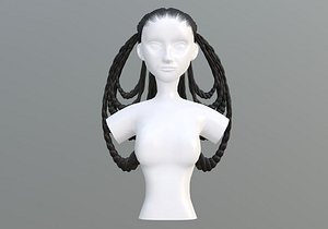 Female Braids Hair 3D model