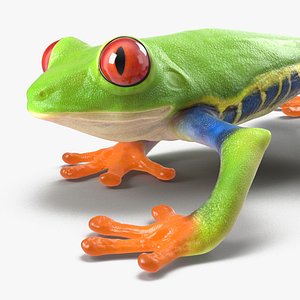 3d model red eyed tree frog