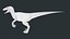 Velociraptor