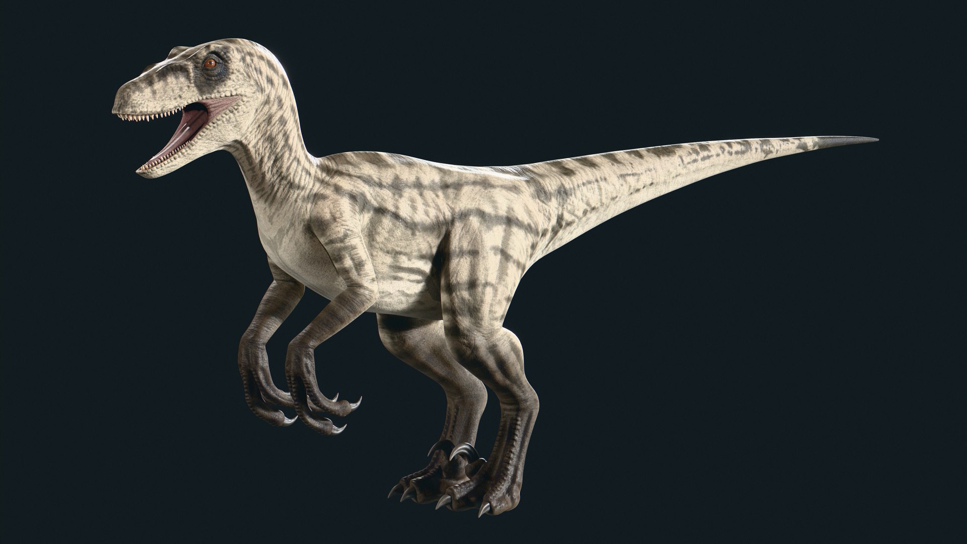 Velociraptor 3D model https://p.turbosquid.com/ts-thumb/CH/ZG1rTi/7x/5/jpg/1754433718/1920x1080/fit_q87/1c2227138980d34b41ea254391f804b3c75db4fa/5.jpg