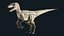 Velociraptor