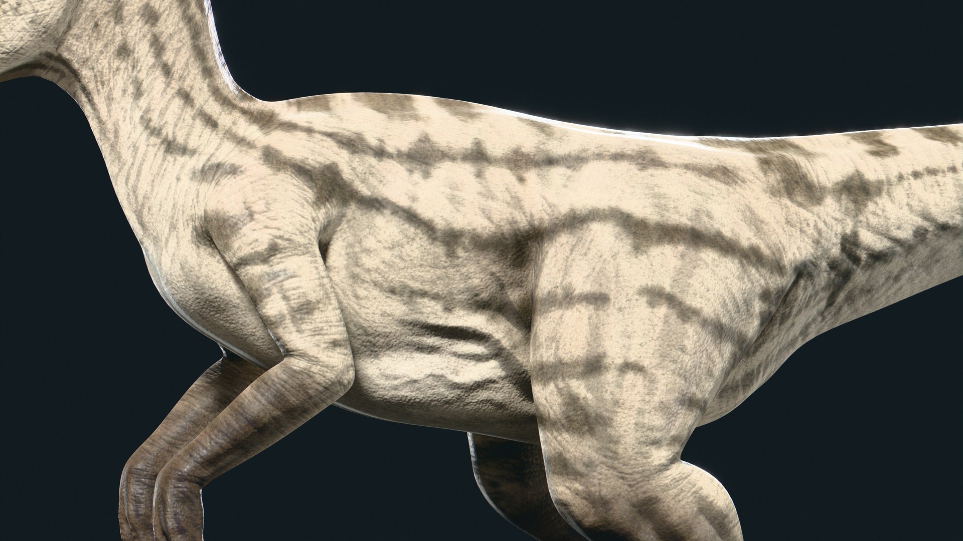 Velociraptor 3D model https://p.turbosquid.com/ts-thumb/CH/ZG1rTi/QR/11/jpg/1754433721/1920x1080/fit_q87/c1e1a3750a0e702463e2ba76125f58d7b6f42959/11.jpg