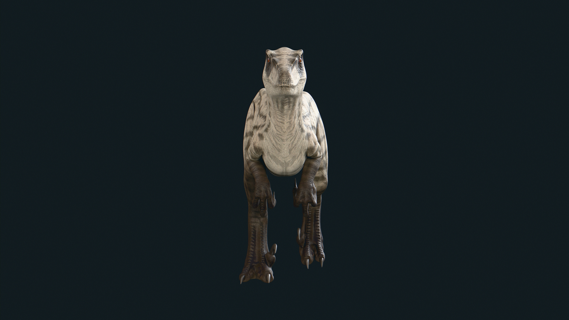 Velociraptor 3D model https://p.turbosquid.com/ts-thumb/CH/ZG1rTi/Rf/01/jpg/1754434186/1920x1080/turn_fit_q99/44b7f1f70c4c34c9c361bfa171fd0632673d4d41/01-1.jpg