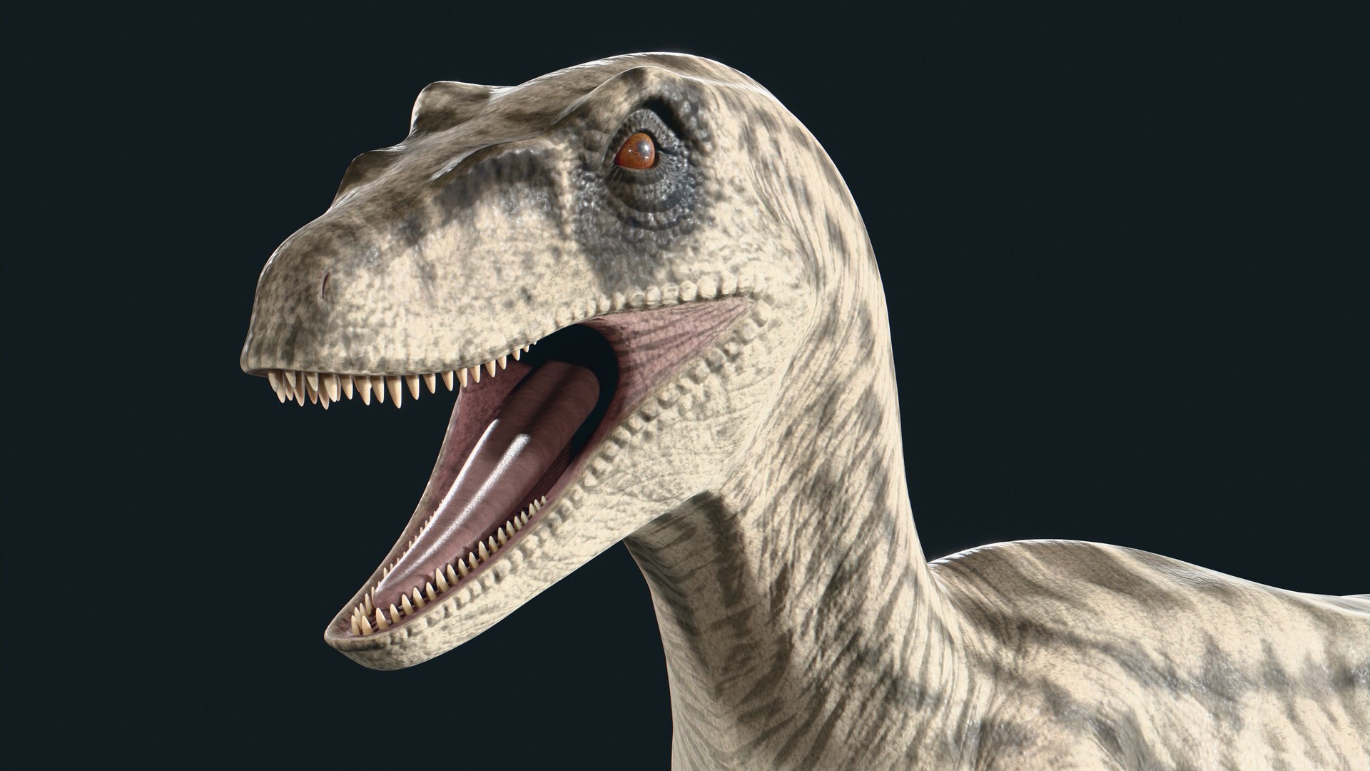 Velociraptor 3D model https://p.turbosquid.com/ts-thumb/CH/ZG1rTi/YC/9/jpg/1754433720/1920x1080/fit_q87/21d72eae4bf535cd152a06db240ced3a0cbebe1d/9.jpg