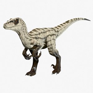 Velociraptor 3D model
