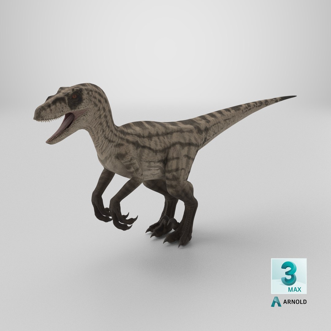Velociraptor 3D model https://p.turbosquid.com/ts-thumb/CH/ZG1rTi/ds/stemcell_max_arnold_render/png/1779457692/1920x1080/fit_q87/e6bed805be4a4712a8af60e434b68437dc35a088/stemcell_max_arnold_render.jpg