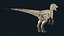 Velociraptor