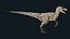 Velociraptor