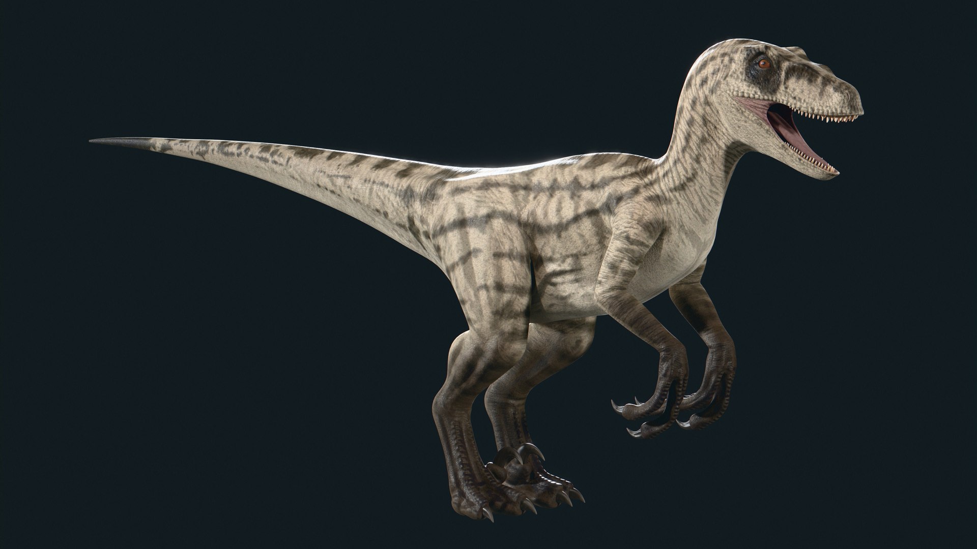 Velociraptor 3D model https://p.turbosquid.com/ts-thumb/CH/ZG1rTi/re/8/jpg/1754433720/1920x1080/fit_q87/1d74533f7c4aa0aded288b4f5f4e3686c072b322/8.jpg