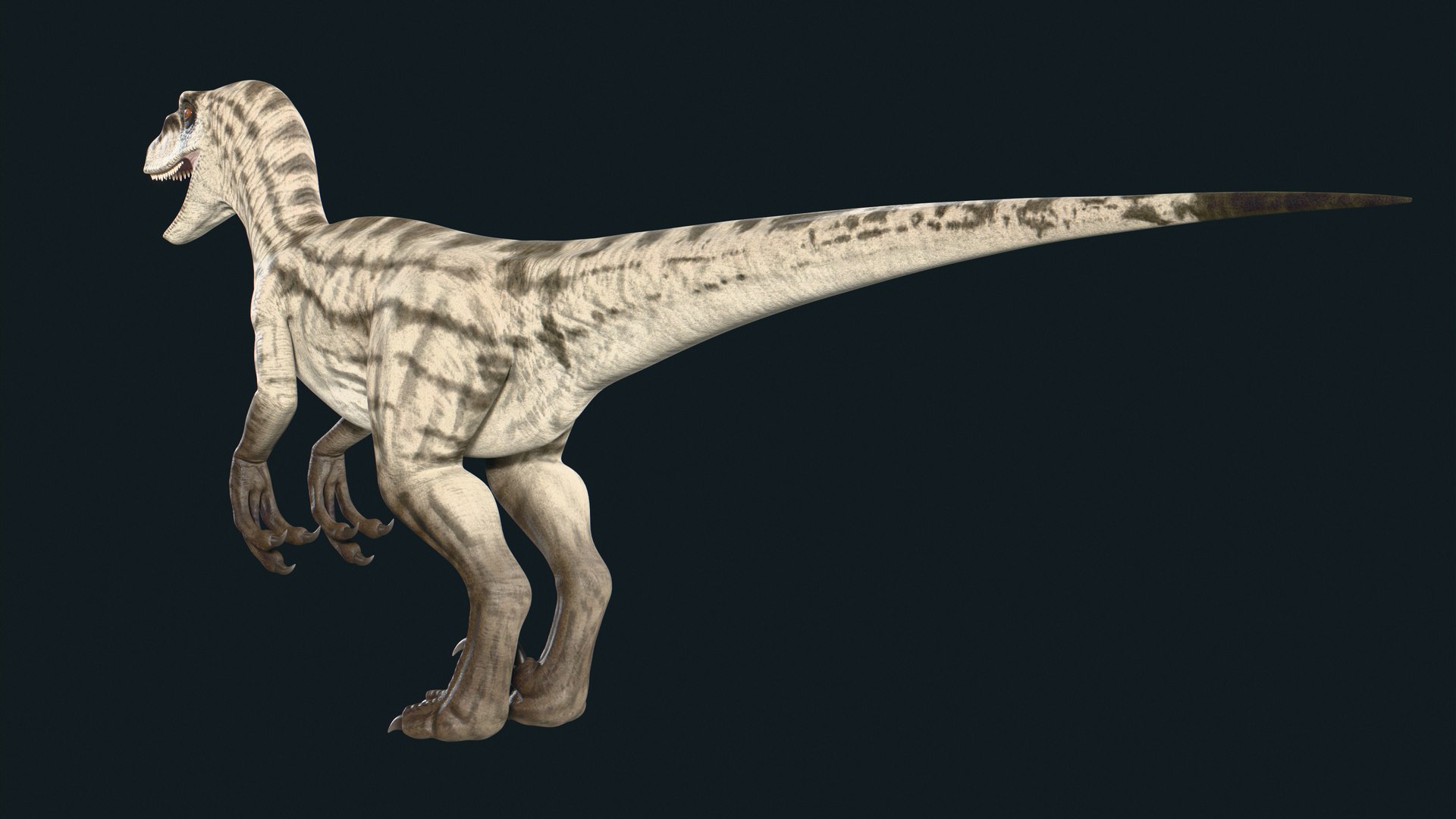 Velociraptor 3D model https://p.turbosquid.com/ts-thumb/CH/ZG1rTi/sg/6/jpg/1754433718/1920x1080/fit_q87/6c34e9dd72509886de9c9508a5e97b5573411972/6.jpg
