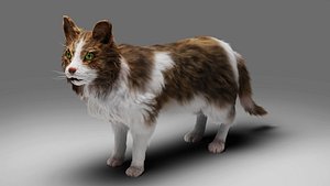 Fur Cat Calico V03 Rigged 3D