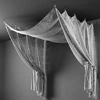 Canopy
