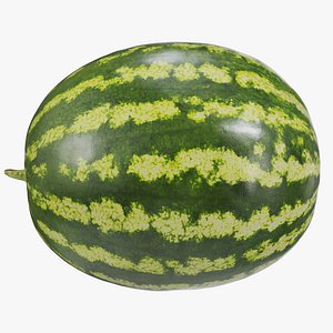 Watermelon 03 with 4 LODs PBR