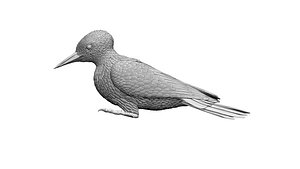 3D Woodpecker