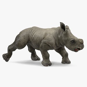 baby rhino walking pose 3D model