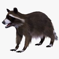 Raccoon (Ornatrix Fur)