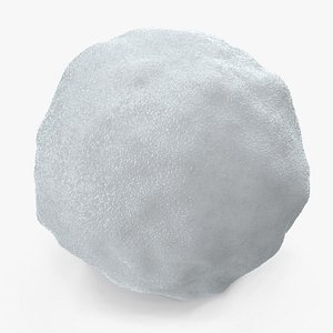 3D snowball cleaning realistic