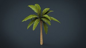Palm Tree