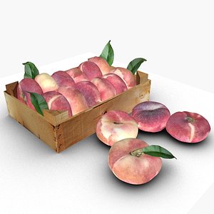 Donut peach model