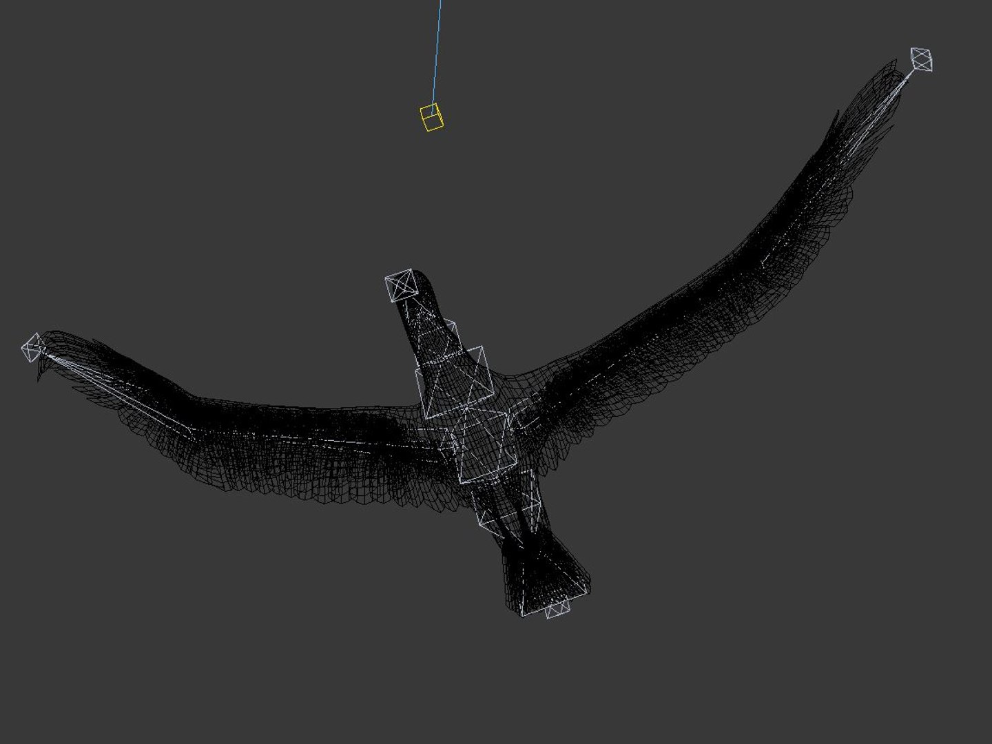 Rigged Seagull Loop Animation 3d Model