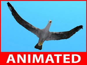 rigged seagull loop animation 3d model