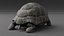 Giant Tortoise Rigged