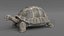 Giant Tortoise Rigged