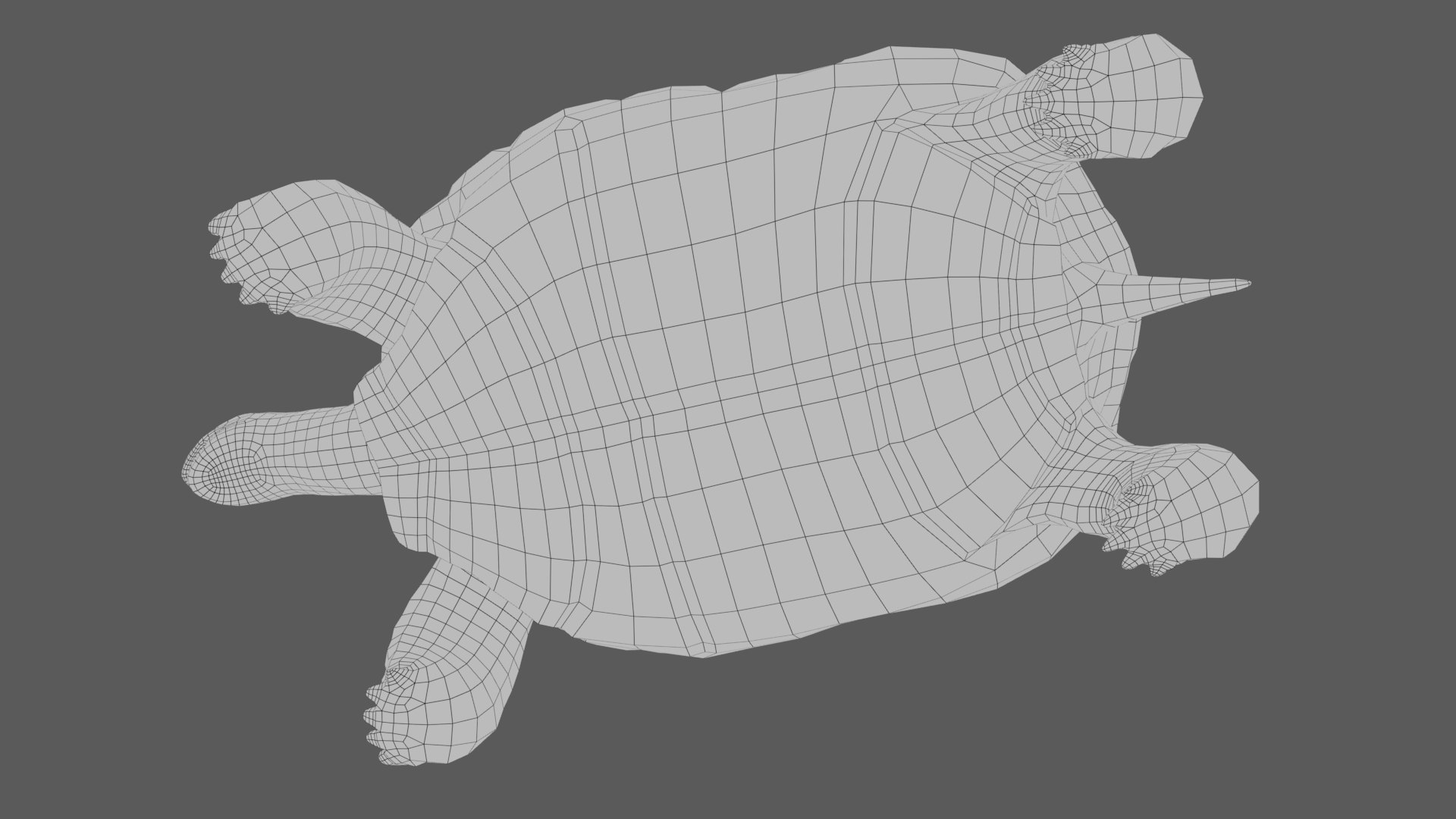 3D giant tortoise https://p.turbosquid.com/ts-thumb/CI/cvWY5y/LG/w2/jpg/1604768375/1920x1080/fit_q87/e2f8442f7ada79416c8080916f420b293122bb53/w2.jpg